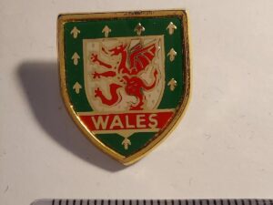 Wales Crest - Welsh Dragon - Vintage Pin - Badge