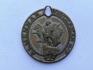 Vintage Iceland Almennar Tryggingar - Insurance Token