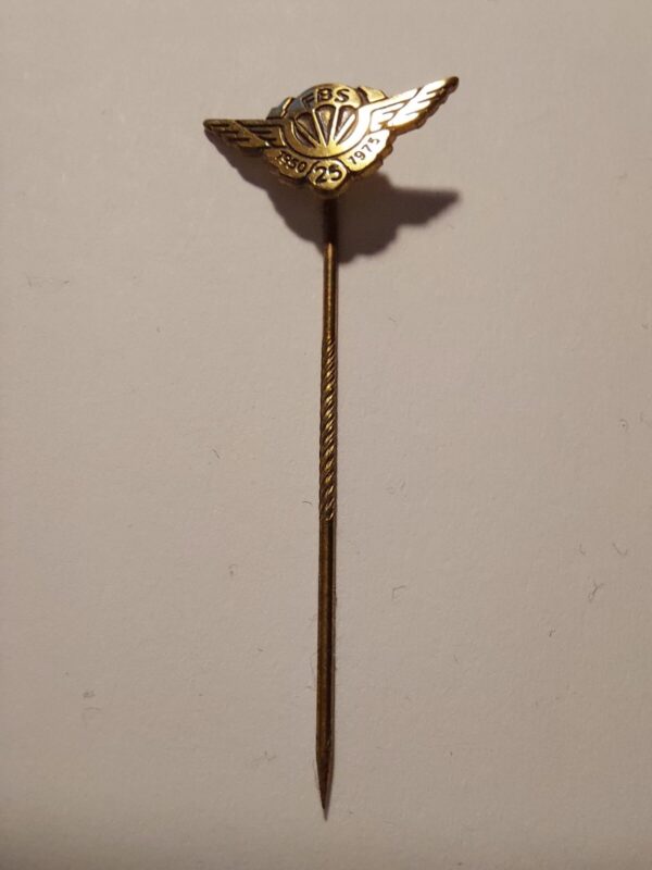 FBS 25 years 1975 - Rescue team - Vintage Pin Iceland