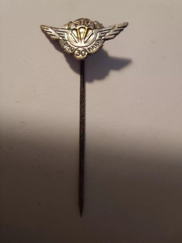 FBS 1980 - Rescue team - Vintage Pin Iceland