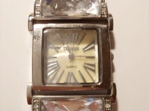 Terner Nickel free Watch