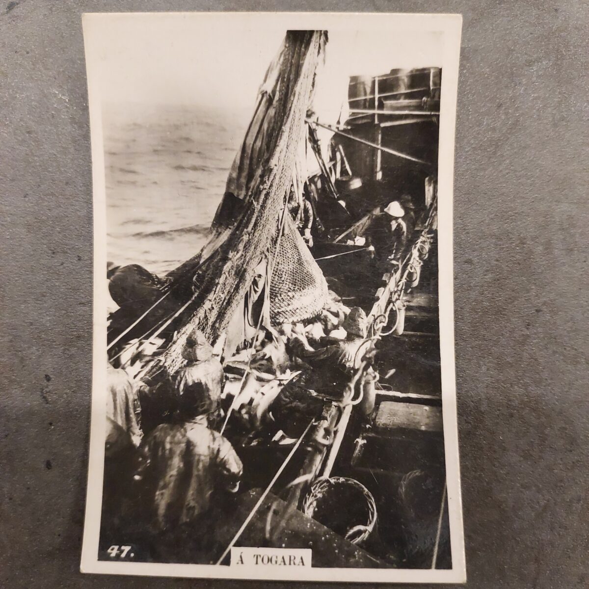 TOGARA Iceland Fishing Trawler