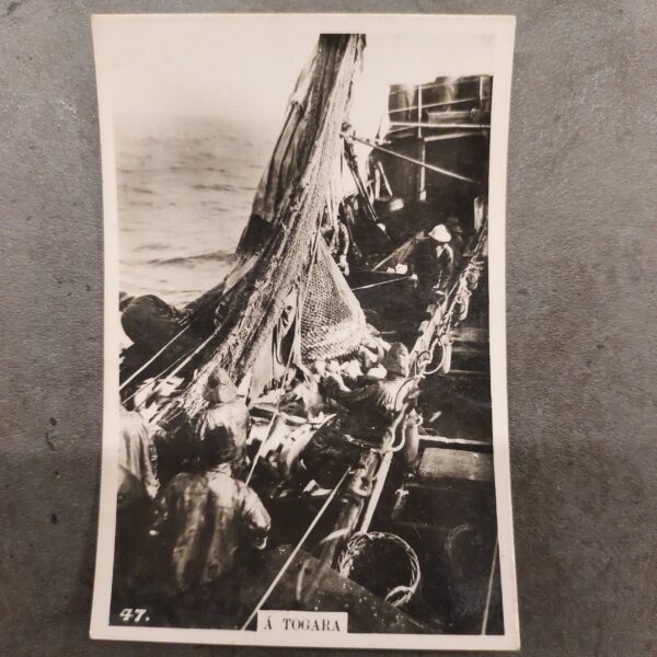 TOGARA Iceland Fishing Trawler