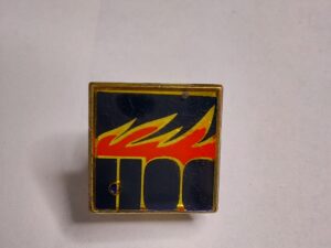 Icelandic 1100 Years Pin