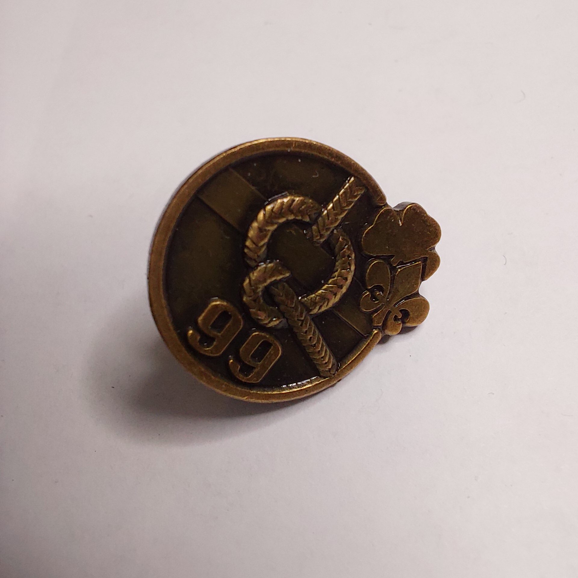 icelandic scouts pin 99